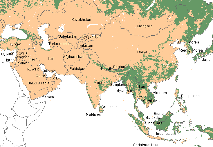 asia forests
