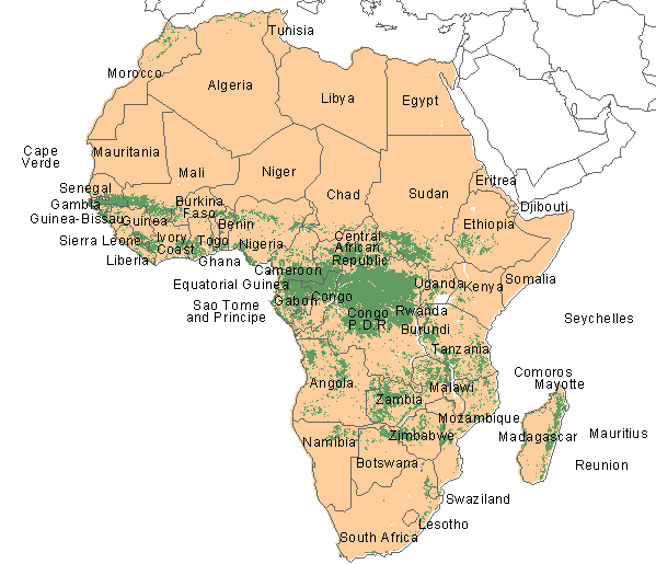 africa forests