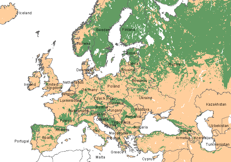 europe forests